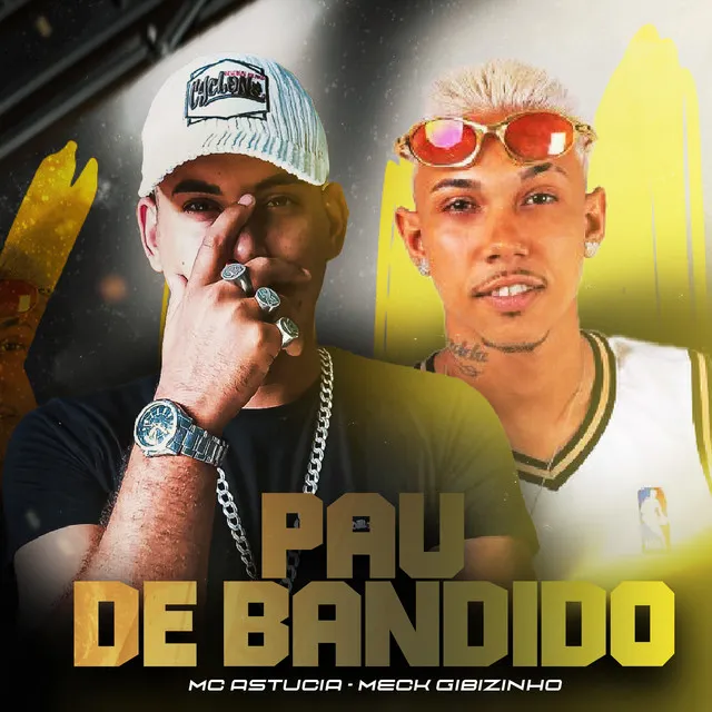 Pau de Bandido