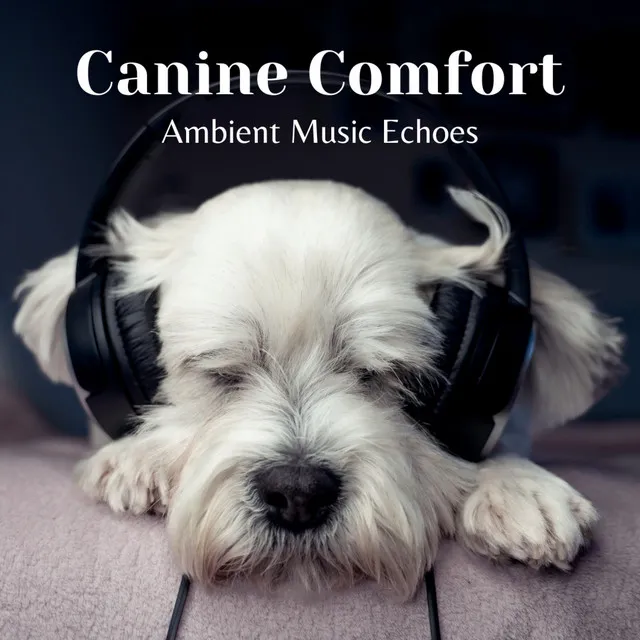 Canine Comfort: Ambient Music Echoes