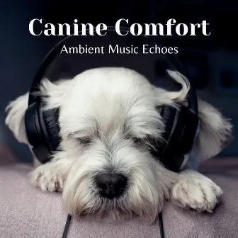 Canine Comfort: Ambient Music Echoes by Sounds Dogs Love