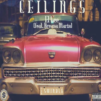 Ceilings by El Gee