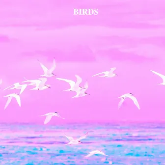 Birds by Serenely Sounds