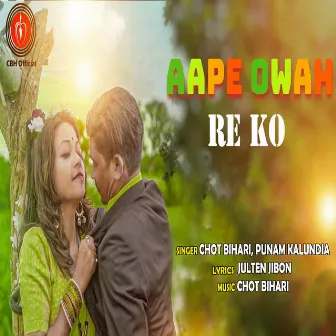 Aape Owah Re Ko by Punam Kalundia