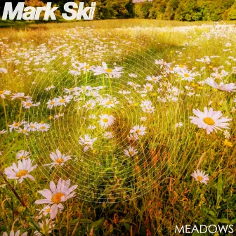 Meadows by Mark Ski