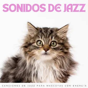 Sonidos De Jazz: Canciones De Jazz Para Mascotas Con Energía by Pausa para el café con jazz popular