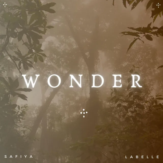 Wonder