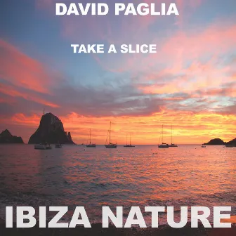 Take A Slice by David Paglia