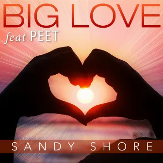 Big Love (Mavericks Mix) by Sandy Shore