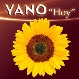 Hoy by Yano