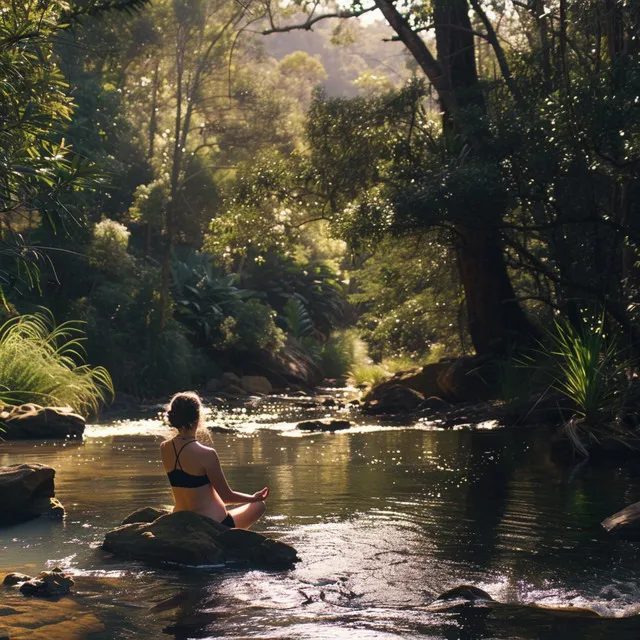 Aguas Serenas De Meditación