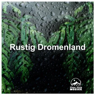 Rustig Dromenland by Diepe Slaap Muziek