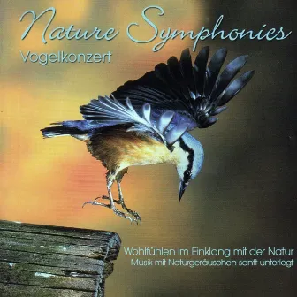 Nature Symphonies: Vogelkonzert by Dave Miller