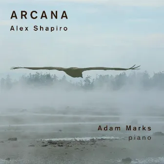 Arcana by Adam Marks