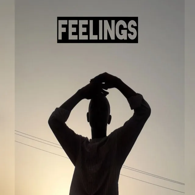 Feelings