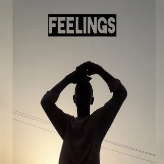 Feelings by Noble being