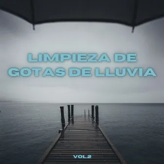 Lluvia urbana suave Vol.2 by Perro radio 1