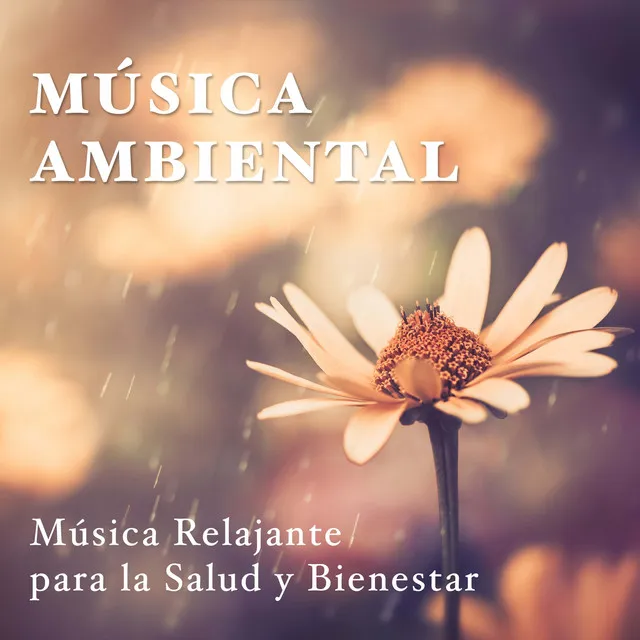 La Mente: Musica Ambiental para Relajar