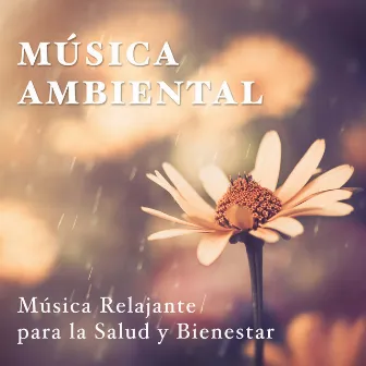 Musica Ambiental - Musica Relajante para la Salud y Bienestar by Winter Solstice