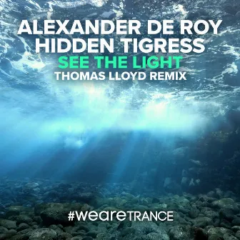 See the Light (Thomas Lloyd Remix) by Alexander de Roy