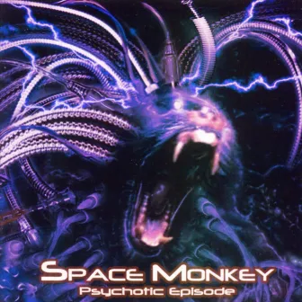 Psychotic Episode by Space Monkey