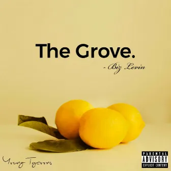 The Grove by Biz Levin