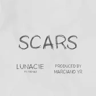 Scars by Lunacie