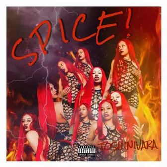 SPICE! by Toshi Nivara