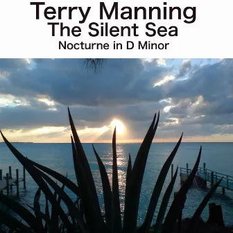 The Silent Sea - Single by Terry Manning