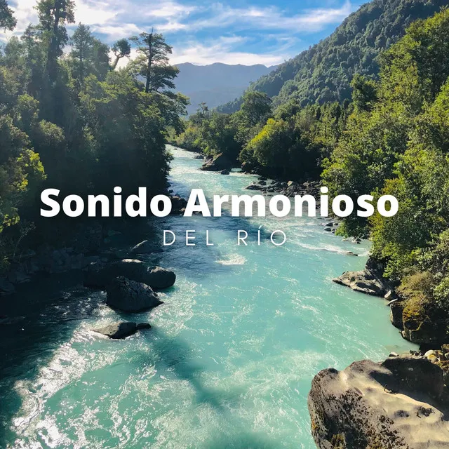 Sonido Armonioso Del Río