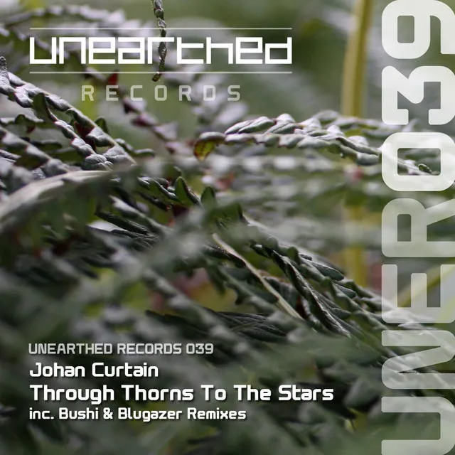 Through Thorns To The Stars - Original Mix