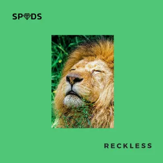 Reckless by Spuds