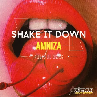 Shake It Down by Amniza