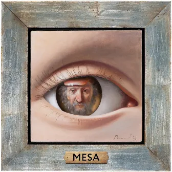 MESA by Mesa