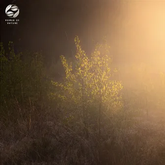 Sunrise Sonata On Misty Peaks by 