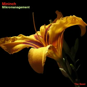 Mikromanagement by Mininch