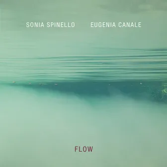 Flow by Sonia Spinello