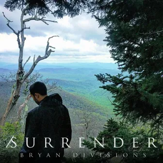 Surrender by Bryan Divisions