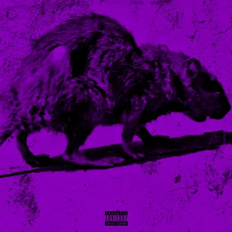 RATS by BVD CXRTEX