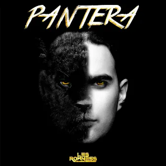 Pantera by Les Rowness