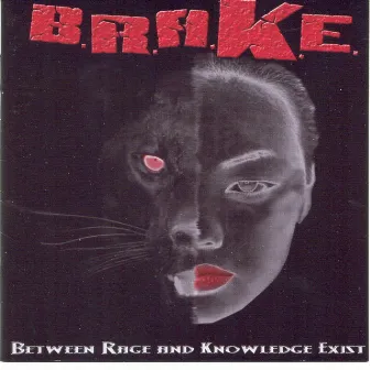 Between Rage and Knowledge Exist by B.R.A.K.E.