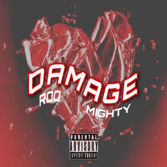 Damage by Roo