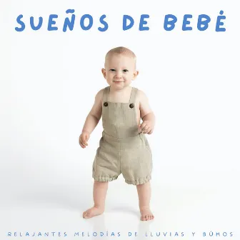 Sueños De Bebé: Relajantes Melodías De Lluvias Y Búhos by Máquina de ruido para bebés