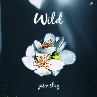 Wild by Jason Shay