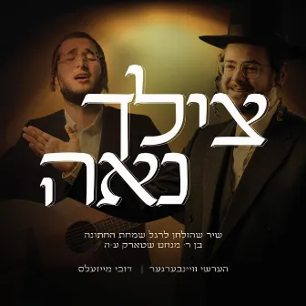 Tzilcha Na'eh by Dovy Meisels