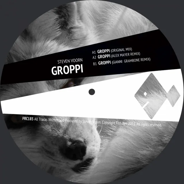 Groppi - Alex Mayer Remix