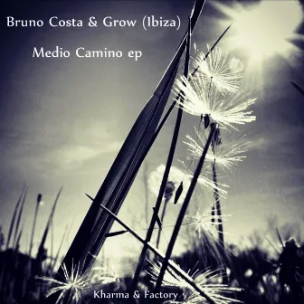 Medio Camino EP by Grow (Ibiza)