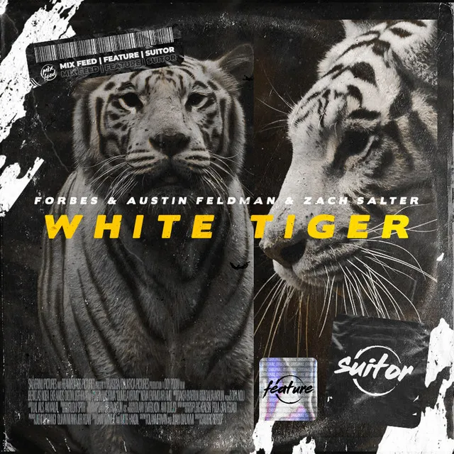 White Tiger