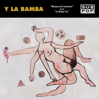 Mariposa De Coalcomán by Y La Bamba