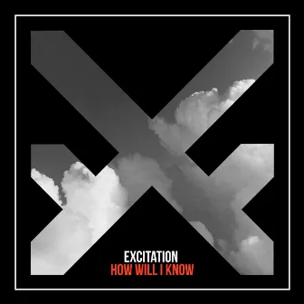 How Will I Know by Excitation