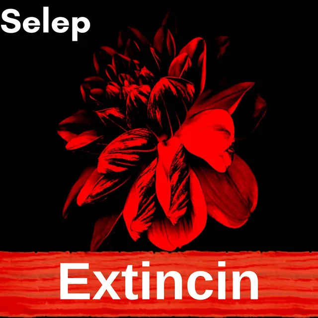 Extincin