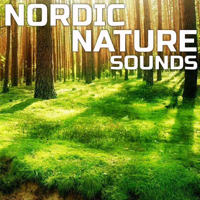 Nordic Forest Melody